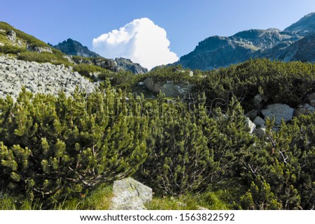 Amazing Landscape near Orlovets peak, Rila Mountain, Bulgaria