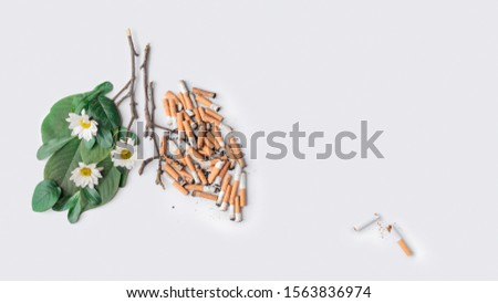 The last one cigarette conceptual photo. Stop smoking theme. Lungs of a healthy person and sick. No Smoking Day concept on a light gray and white background with copy space, for banners and articles. Royalty-Free Stock Photo #1563836974