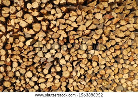 Pile of Firewood texture for nature background.