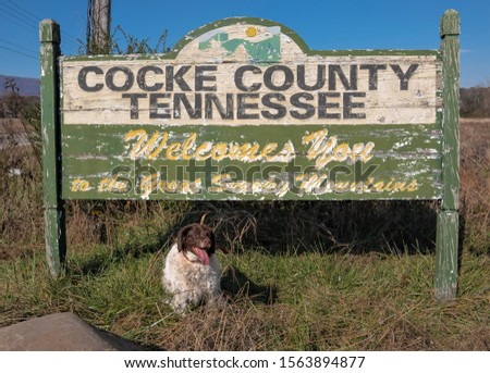 A dog is laying under a welcome sign to the great Smoky Mountains and the words Cocke County Tennessee at the top of the sign.