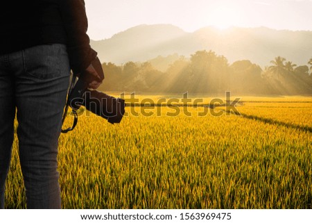 Back view of young hipster photographer holding the camera with sunrise on rice field natural background.
