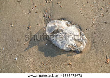 Plastic bag on beach,serious damage to the environment, world pollution.Garbage on a beach, environmental pollution concept picture.