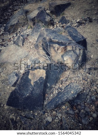 Black Stones on the lake coast