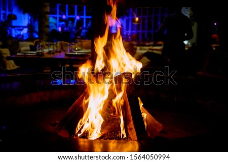 Birch wood burning in the open fireplace