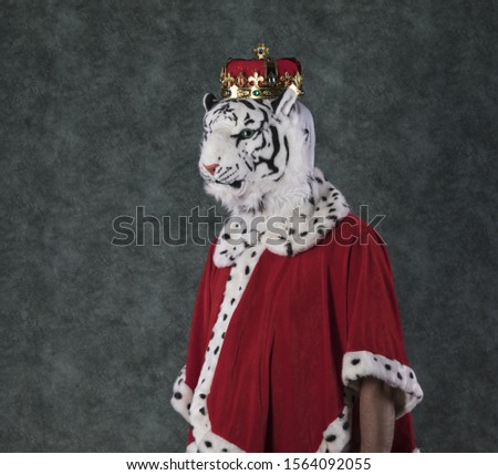 king tiger with crown, studio background