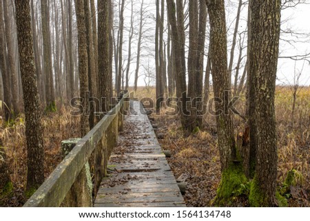 Boardwalk near flooded lake in Samogitia region in Lithuania/Europe. Picture of gloomy  forest woodland landscape in late autumn . 