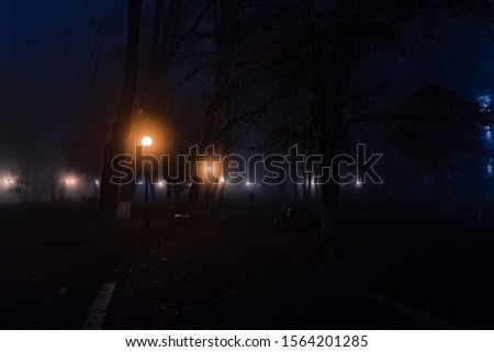 Foggy evening in the park