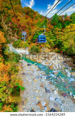 A blue gondala cable car passes through the golden yellow, orange & red Autumn leaves of the Dragondola, Japans longest ropeway. d