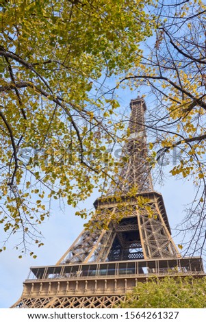                     Branches of trees with yellow  leaves and Eiffel tower on the background against a clear blue sky. Autumn in Paris concept.            