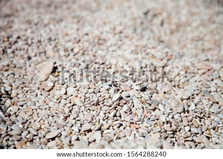 Abstract background with grey and white peable stones on Adriatic beach. Selective focus.