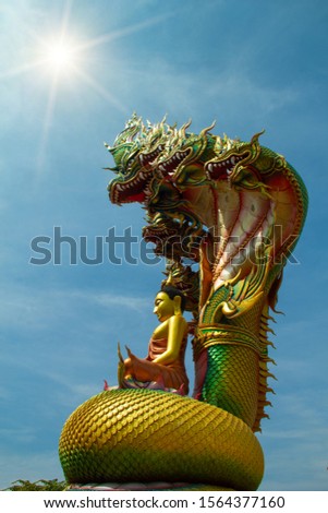 Buddha statue,Naga statue and blue sky, Sculpture of  Golden Buddha with 7  head Naga statue,Serpent statue and blue sky background, Wat Tham Pha Daen,Sakon Nakhon,Thailand.