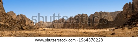 Panoramic view of the desert  formation in the Africa