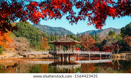 Ukimido, a classical hexagonal wooden pavilion floats on Sagiike Pond in Nara Park, Nara prefecture, Japan Royalty-Free Stock Photo #1564423435