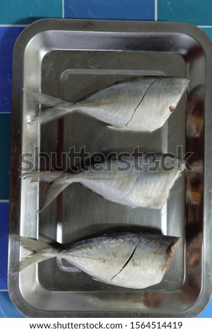 fresh mackerel ready to cook 