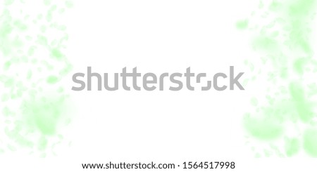 Green flower petals falling down. Curious romantic flowers border. Flying petal on white wide background. Love, romance concept. Decent wedding invitation.