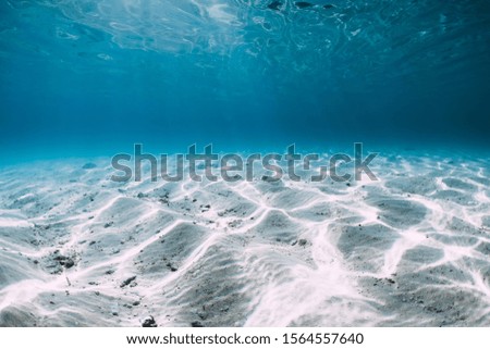 Transparent ocean water with sandy bottom and sun underwater rays in Hawaii