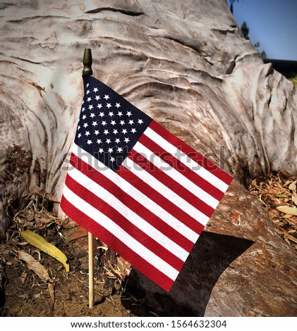 The American Flag Under a Tree