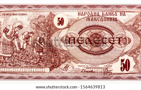 Farmers harvesting tobacco leaves in Macedonian. Portrait from Macedonia 50 Denari 1992 Banknotes. 