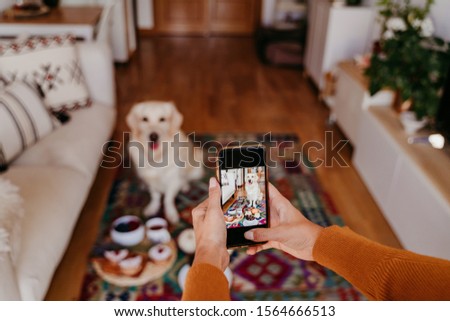 young caucasian woman taking a picture of her golden retriever dog with mobile phone. Home, indoors