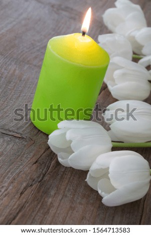 Easter decoration Green candles with white tulips as background