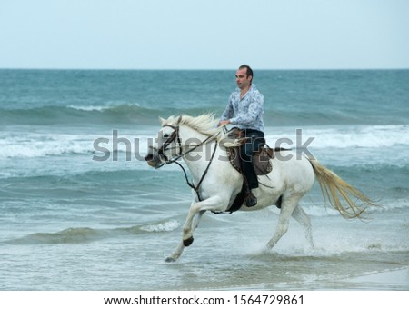  riding man is training his horse on the beach