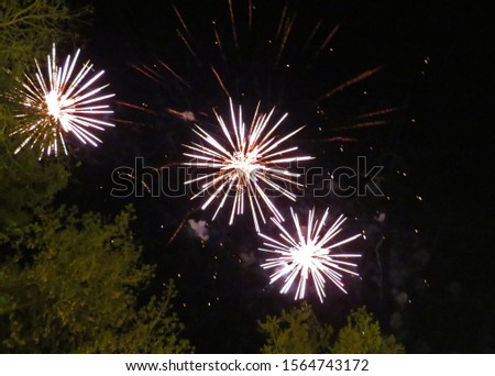 Bright festive fireworks on a blurred background of trees and the night sky