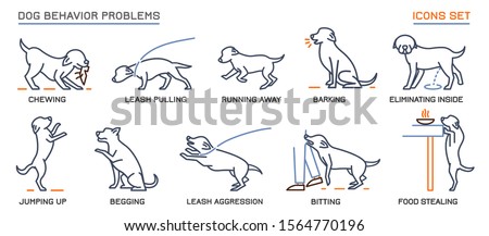 Dog behavior icons set. Domestic animal or pet language. Chewing, begging, biting, food stealing. Doggy reaction. Simple icon, symbol, sign. Editable vector illustration isolated on white background