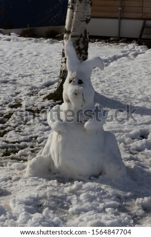 A hare in the swiss alps on a sunny day in the winter