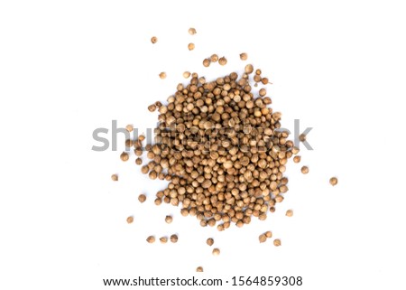 Whole cilantro coriander seed spice herb for cooking