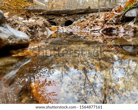 Picture of a creek on a rainy day