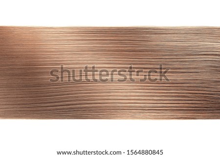 Brown hair on white background, isolated. Horizontal line