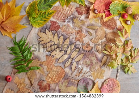 Autumn leaves, nuts and berries lying on hand-dyed fabric strip using eco-print technique