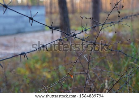 Abandoned concrete building in the forest with barbed wire fence