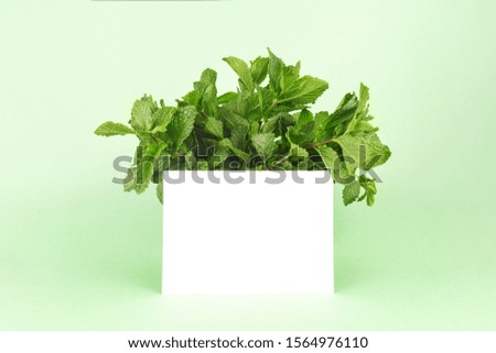 Bunch of mint on the minty green background with blank white card. Monochrome image in trendy green shade