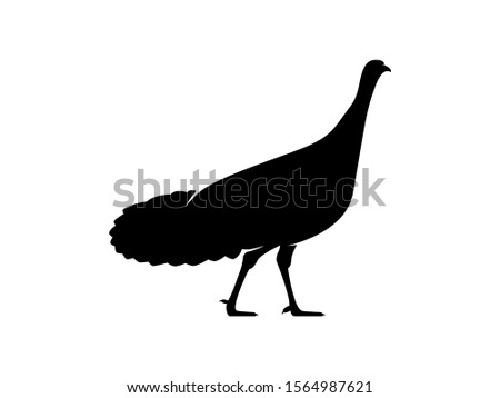 silhouette of a turkey. Vector illustration livestock animal on white background
