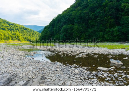 Wild mountain river near hill with forest behind