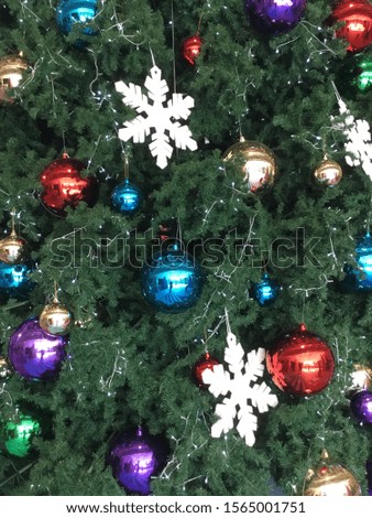 Decorate the Christmas tree in the house.