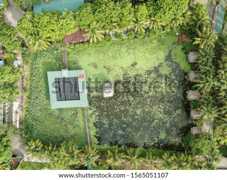 A top down aerial view of a lake or pond filled with water lilies with a hut in the middle. Located in Jong’s Crocodile Farm of Kuching, Sarawak, Malaysia.