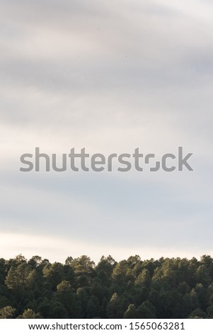 Landscape photo of Mt. Humphreys in Flagstaff Arizona.  Royalty-Free Stock Photo #1565063281