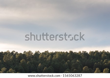 Landscape photo of Mt. Humphreys in Flagstaff Arizona.  Royalty-Free Stock Photo #1565063287
