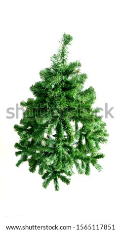 Christmas tree for Christmas Day, New Year's Day                               