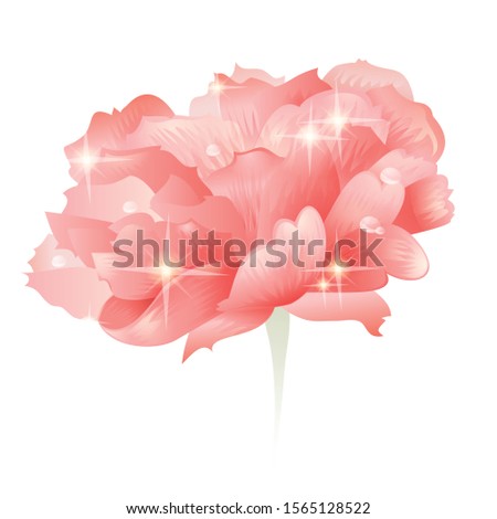 vector of beautiful flower elements