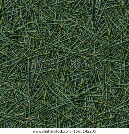 Seamless pattern with pine needles. Perfect background for Christmas and New Year's web pages. Texture for the 2020 meeting. Royalty-Free Stock Photo #1565142205