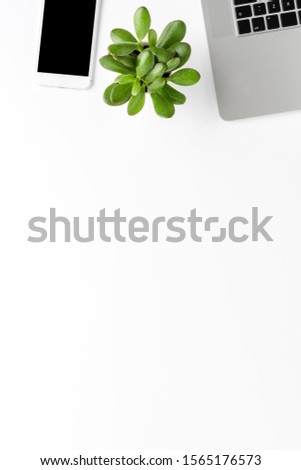 Modern office desktop with laptop, mobile phone and small succulent. Top view