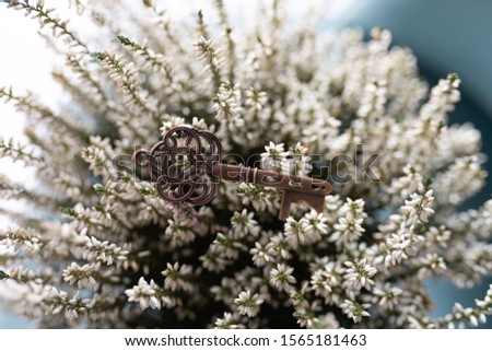 Romantic copper metallic key against a background of white heathers.