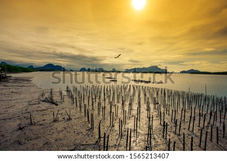 The natural background, the blurred panoramic of the sun hits the sky and the sea surface, the atmosphere is surrounded by nature (mountains, trees, waterfront fishing communities) and cool breezes.