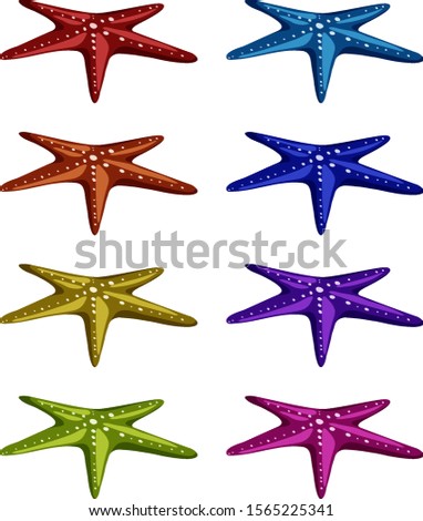 Set of starfish in different colors illustration