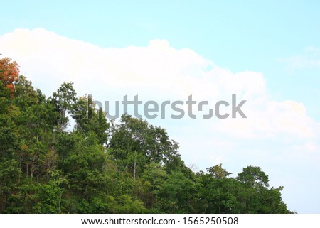 scene of nature trees on mountain with sky and clouds background