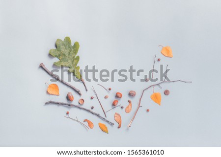 Autumn season flat lay decoration top view with leaves and branches, abstract minimal composition, copy space included