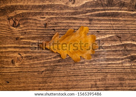 Dried oak leaf on a brown wooden boards background, top view.